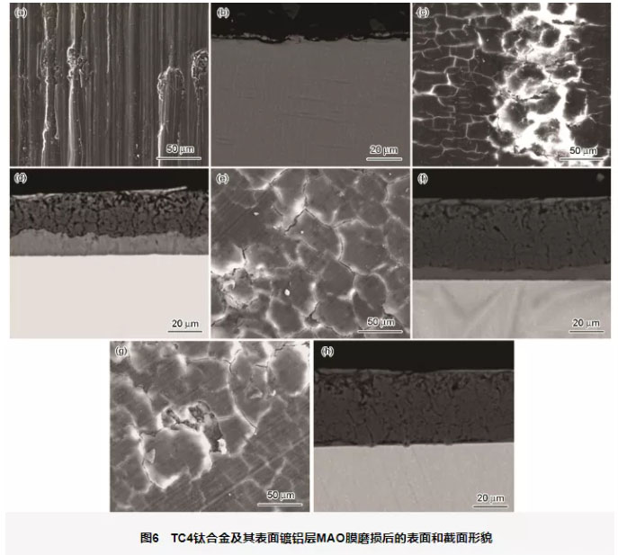 鈦合金及鈦合金鍍鋁層MAO不同時間的膜層與WC-Co球對磨后的表面和截面形貌