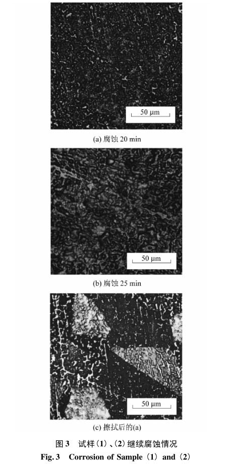 試樣(1)、(2)繼續(xù)腐蝕情況