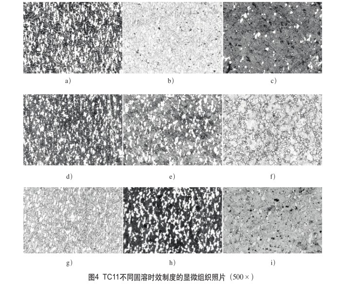 TC11不同固溶時(shí)效制度的顯微組織照片（500×）