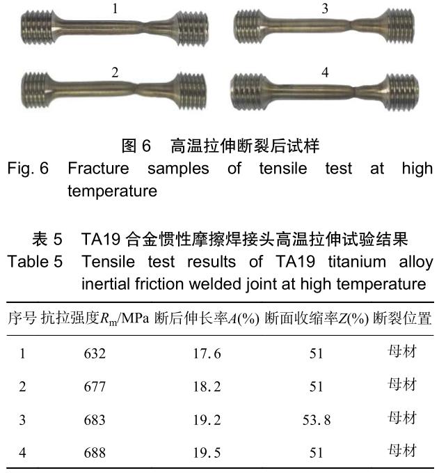 t6-b5.jpg