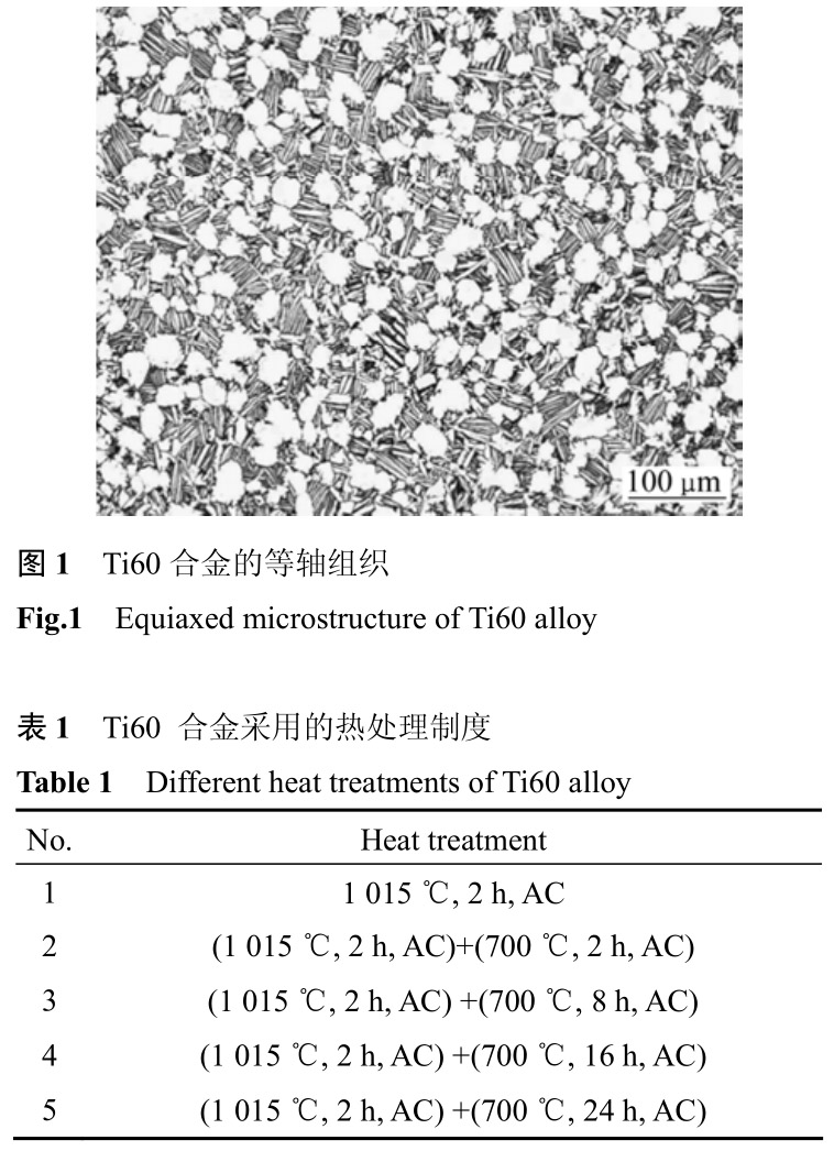 t1-b1.jpg