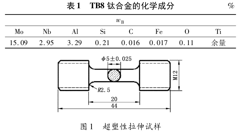 b1-t1.jpg