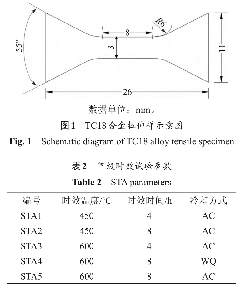 t1-b2.jpg